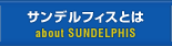 サンデルフィスとは